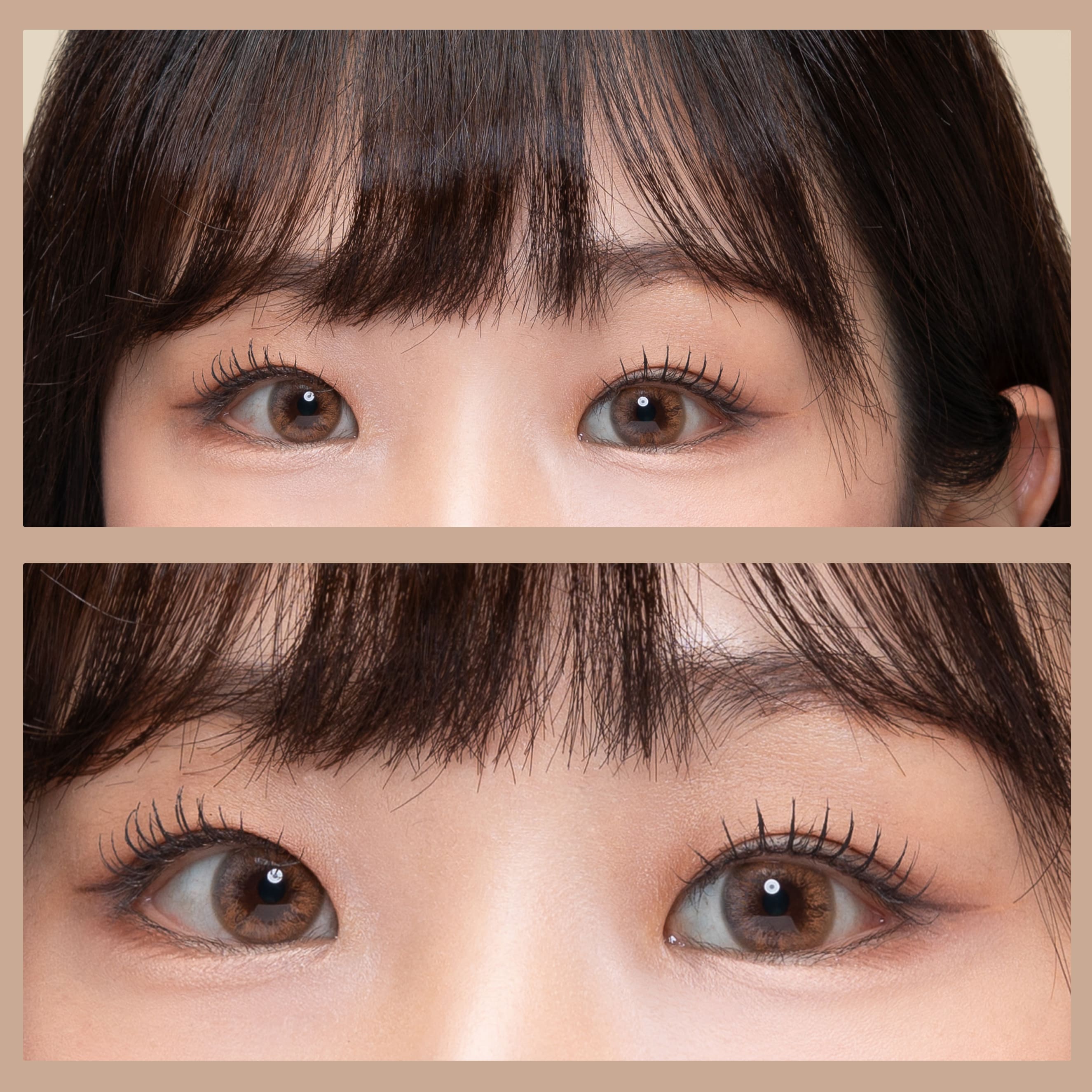 astigmatism colored contact lens, milkyway brown toric, watery dewy Korean SNS popular trend colored contacts, Queencontacts