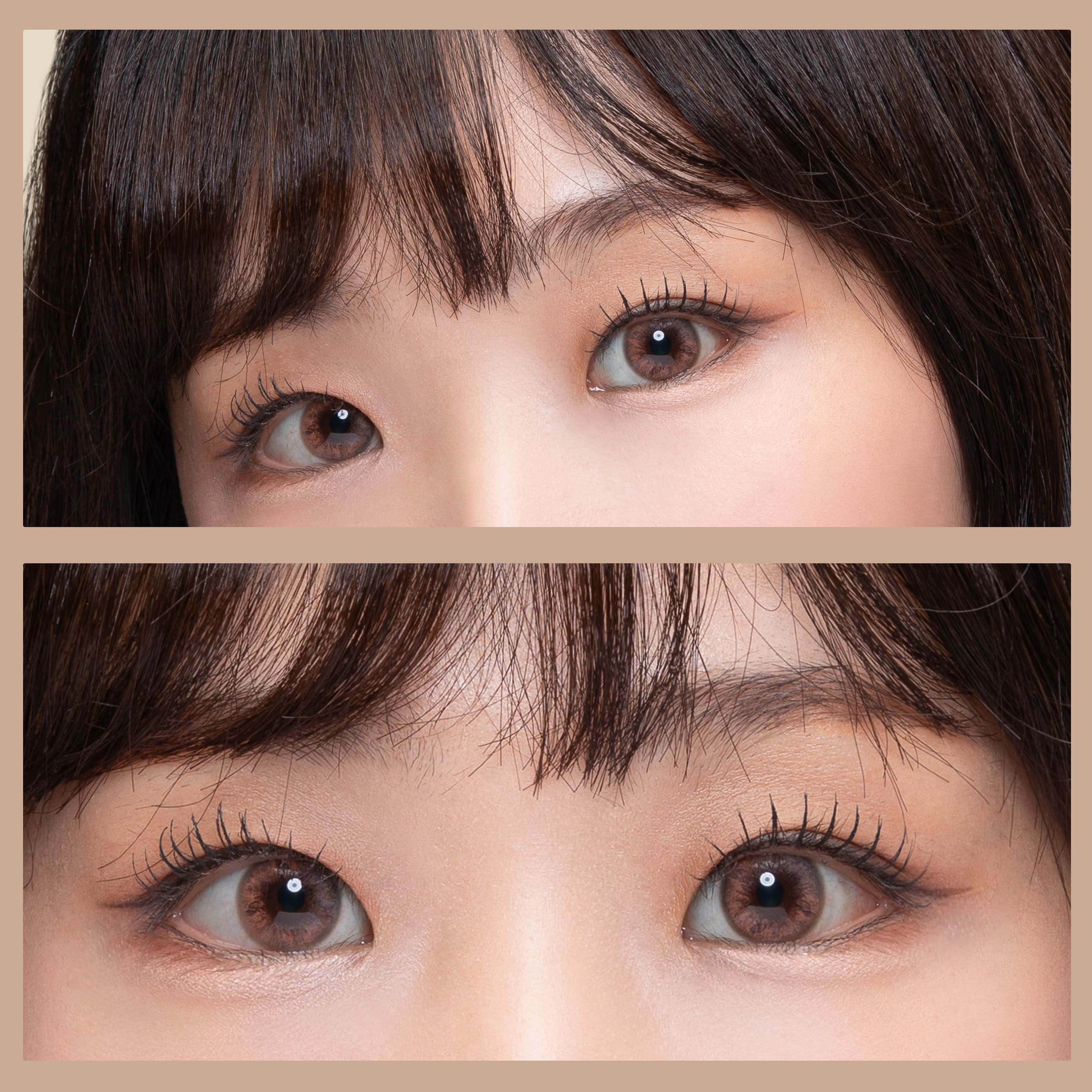 astigmatism colored contact lens, milkyway choco toric, watery dewy Korean SNS popular trend colored contacts, Queencontacts