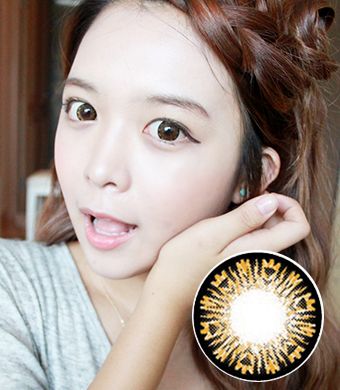 【Yearly / 2 Lenses】 B200 Brown  /206