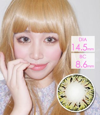 【Yearly / 2 Lenses】 VILLEA Brown /1262