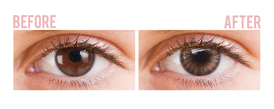 【Flow/1month】 Flow Marine Brown / 1560 