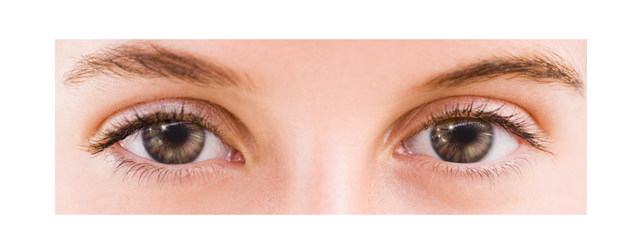 【Flow/1month】 Flow Marine Brown / 1560 